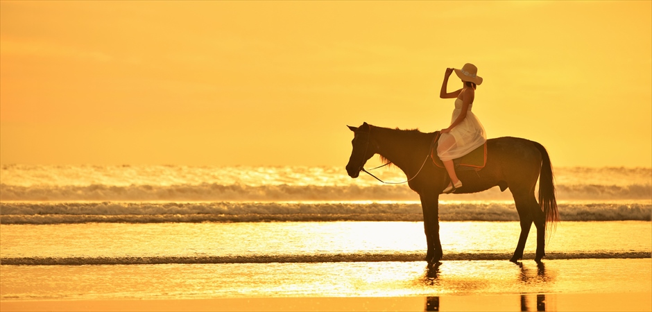 Beach Horse Riding<br>Wedding Photo Tour