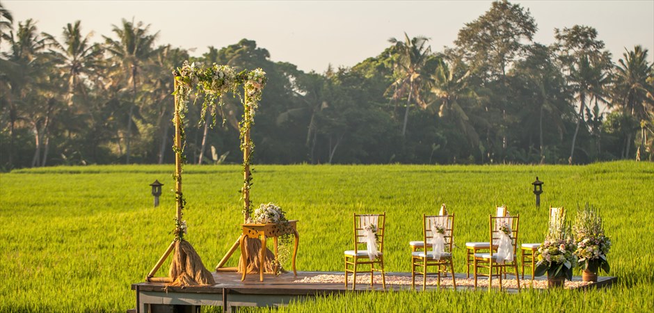 The Eternity Paddy at Rice Terrace