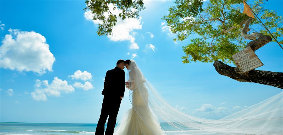 Coconut Grove Beach Wedding