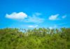 カマンダル・ウブド　リゾート　全景