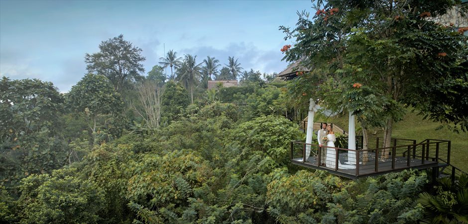 Forest Wedding & Dinner Package