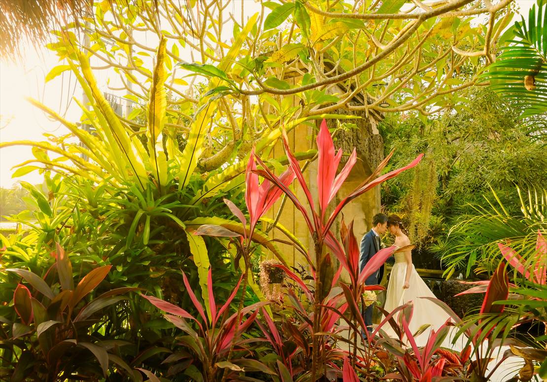 エントランス・ガーデンにてサンセット撮影