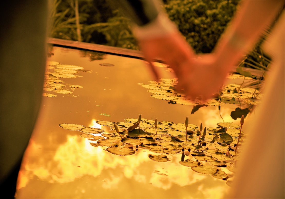 夕日が照らすロータス・ポンド