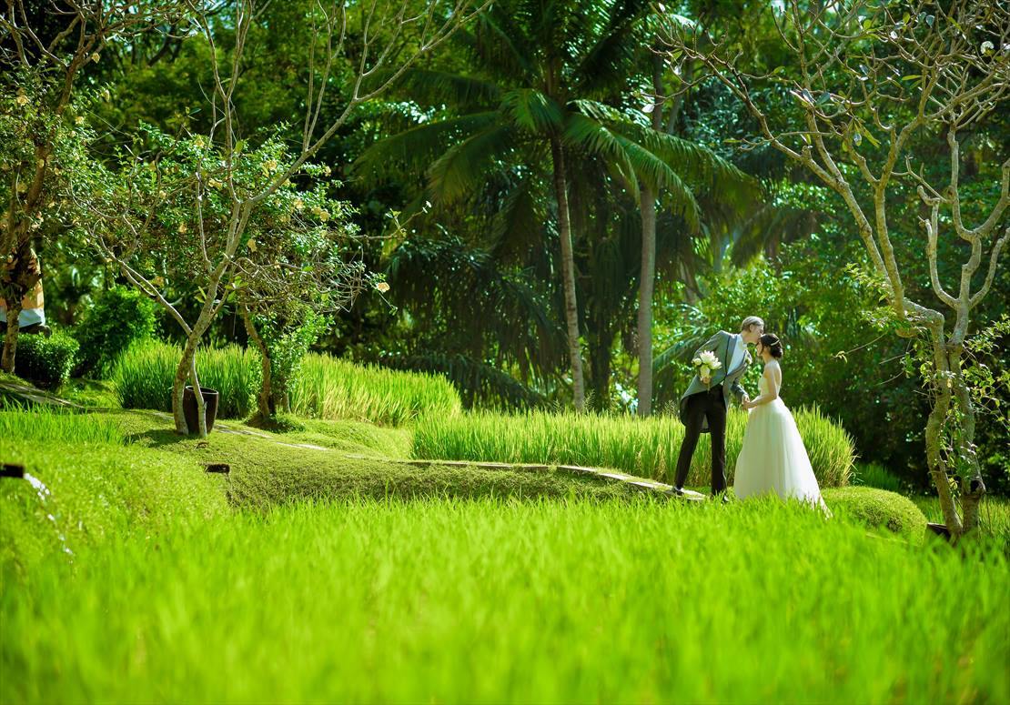 フォーシーズンズ・サヤン　ライステラス