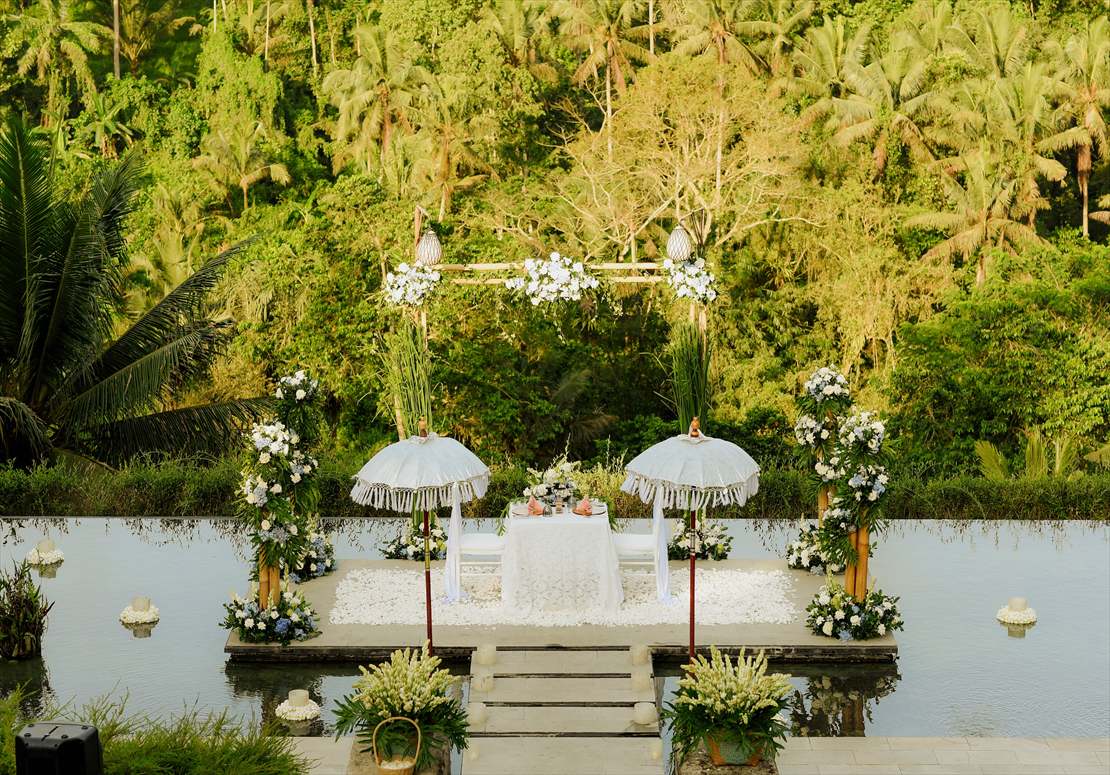 インフィニティ･ステージよりジャングルを一望