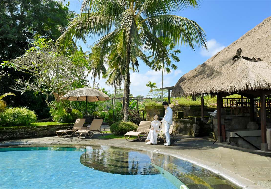 椰子の木が生い茂るメインプール