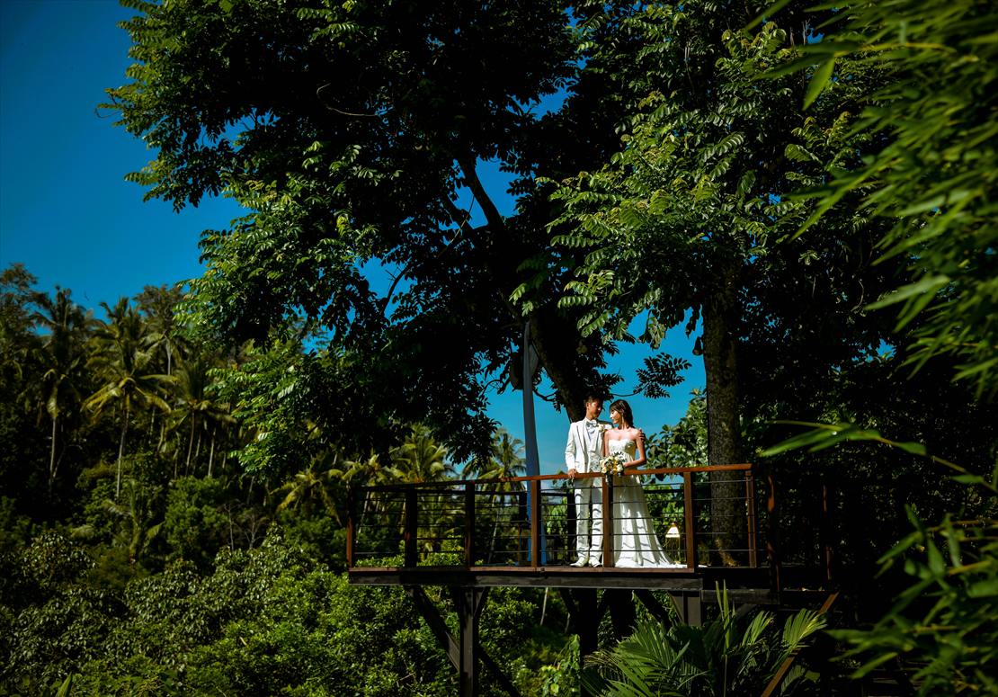 フォレスト・デッキ ウェディング・フォト