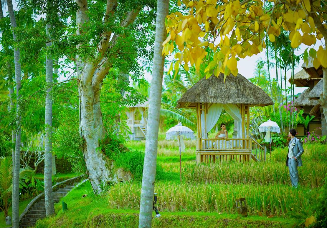 カマンダル・ウブドの美しいライステラス景観