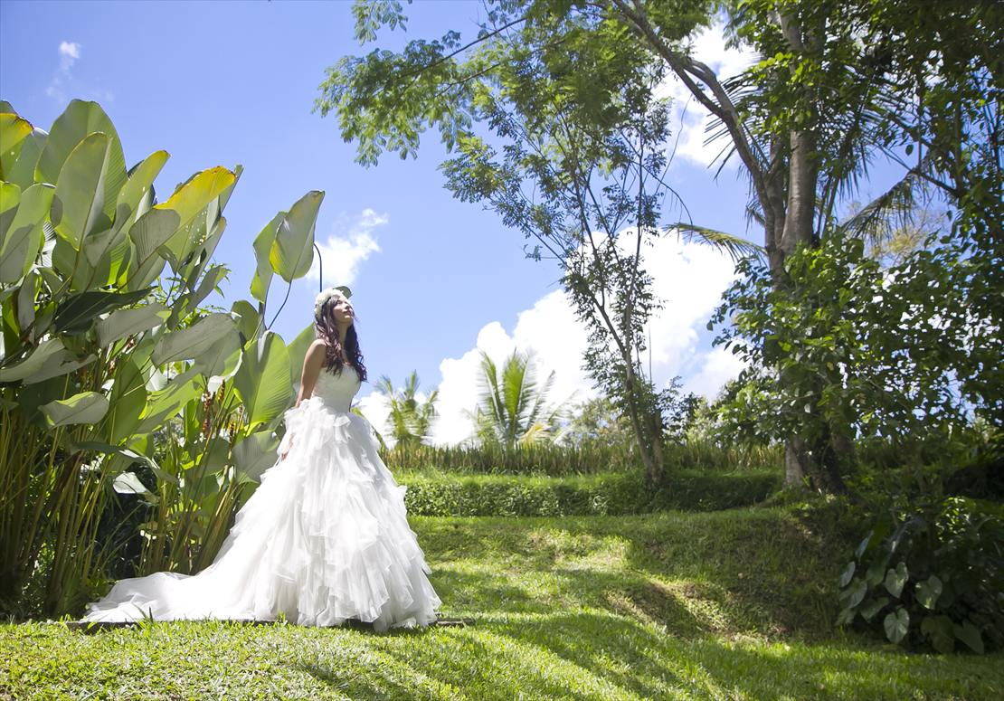 ウブドらしい景観を望むガーデン