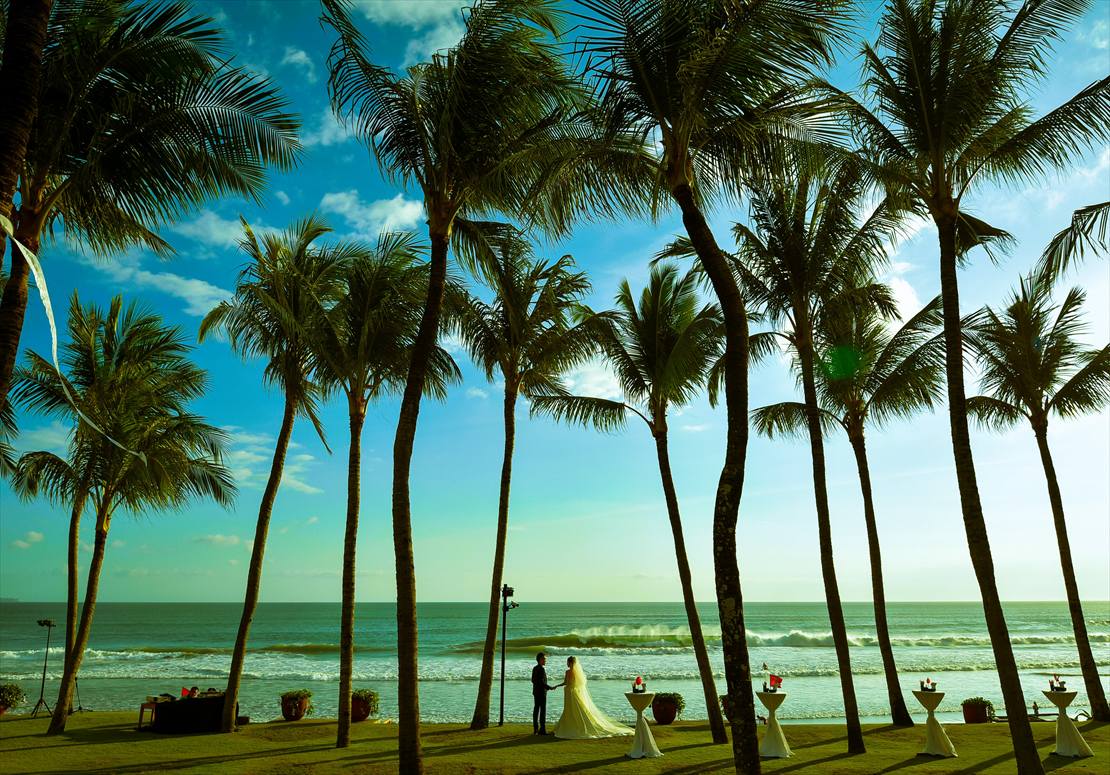 椰子の木が生い茂るビーチフロント・ガーデン