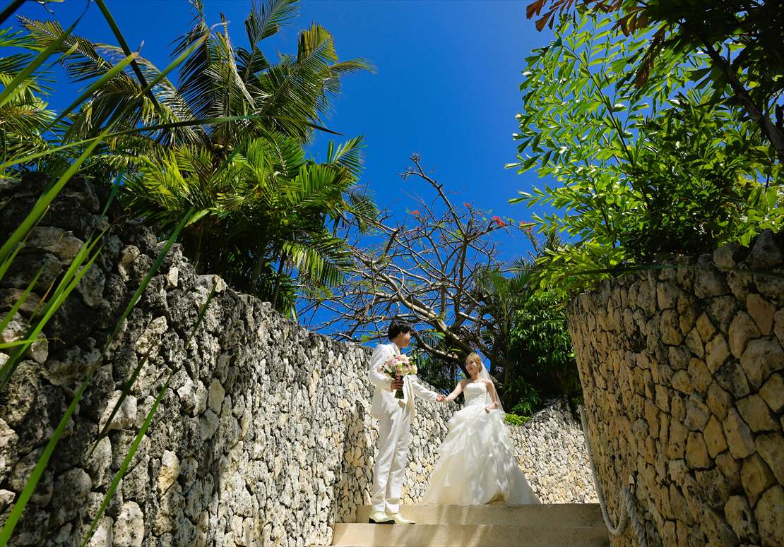 ジャングルと白亜の壁に囲まれたリゾート