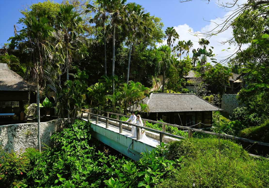 周囲をジャングルに囲まれたリゾートブリッジ