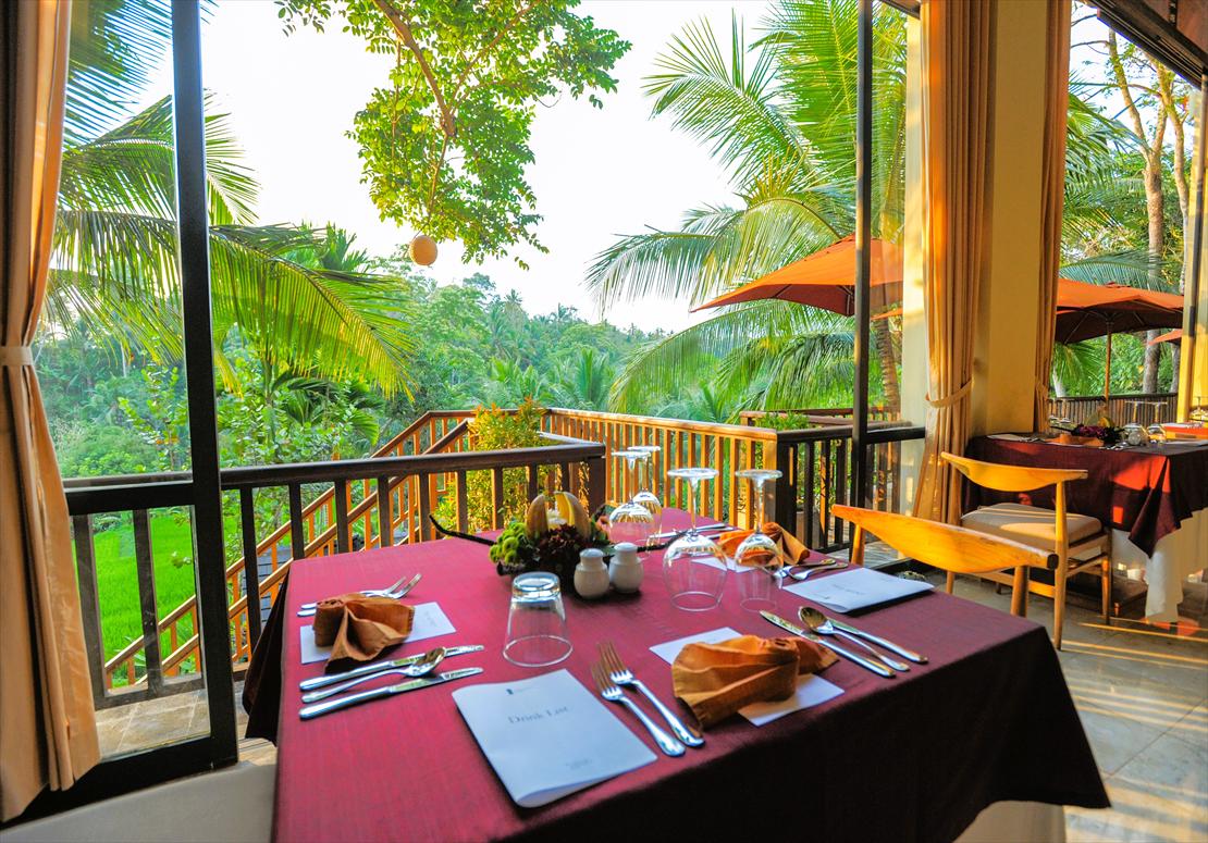 1階テーブルよりジャングルの絶景を望む