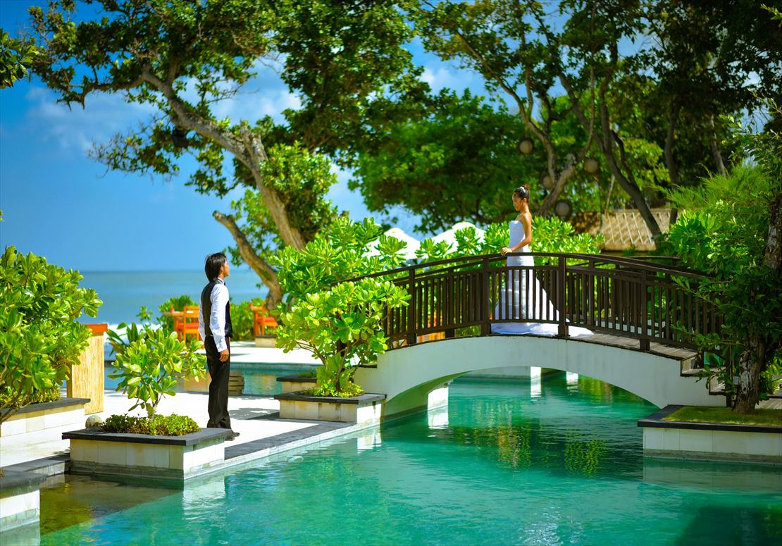 熱帯雨林が生い茂るプール・ブリッジ