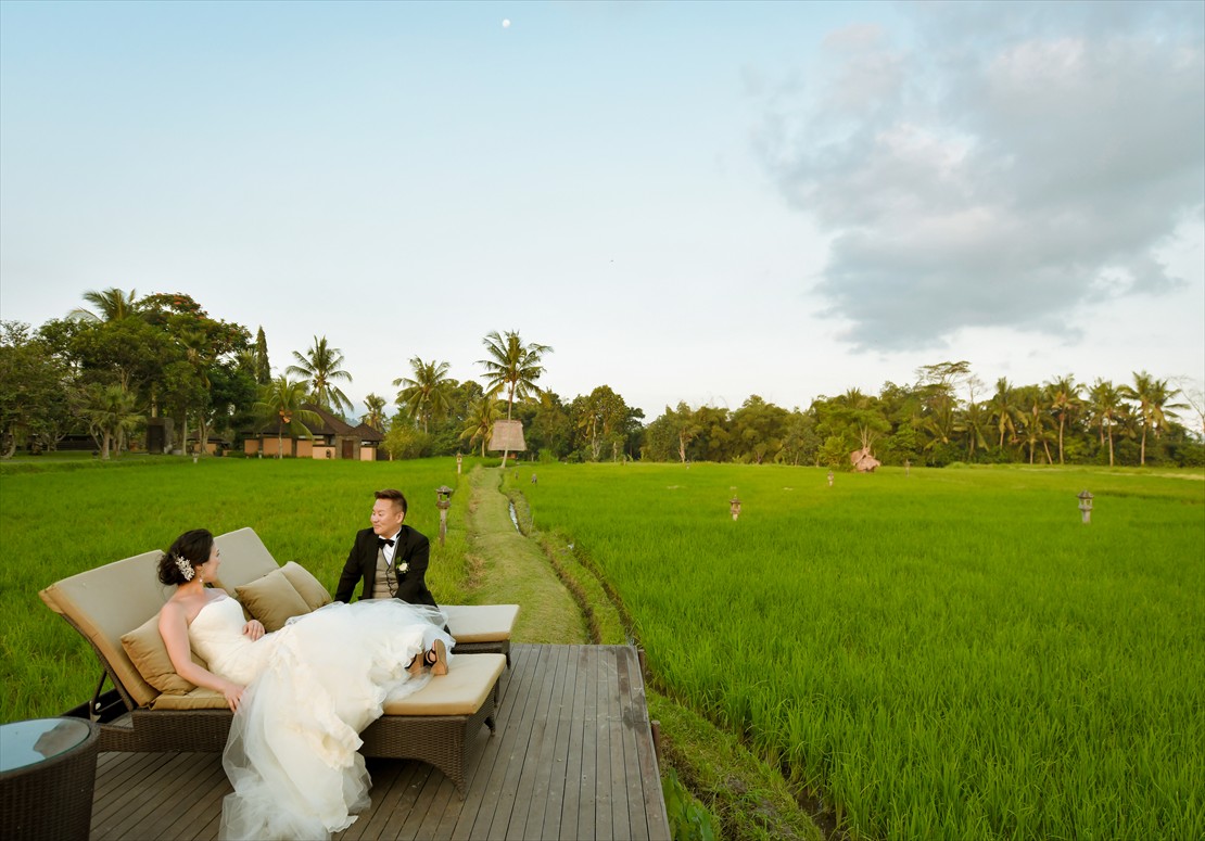 デッキより広大なライステラスを望む