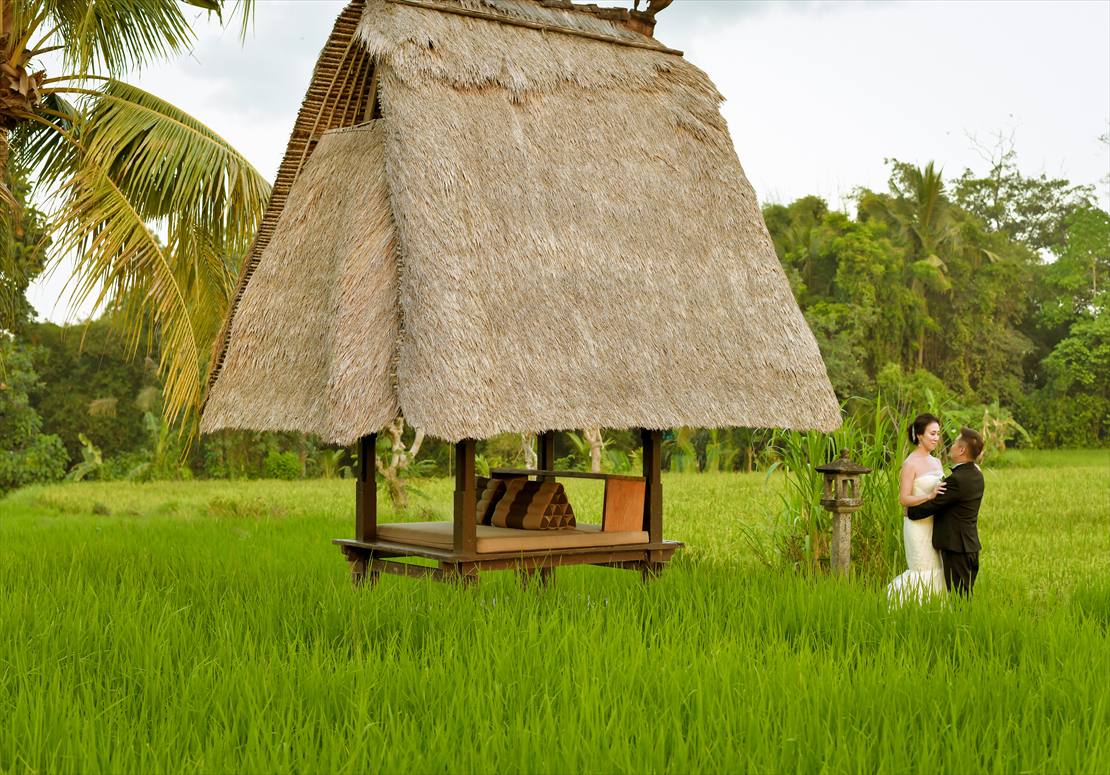 バリ島ウブド随一のライステラスの広さを誇る