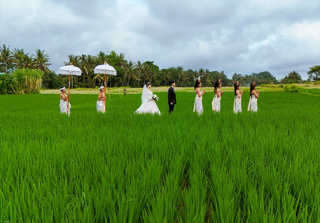 フラワーガール&パユンボーイ ライステラス