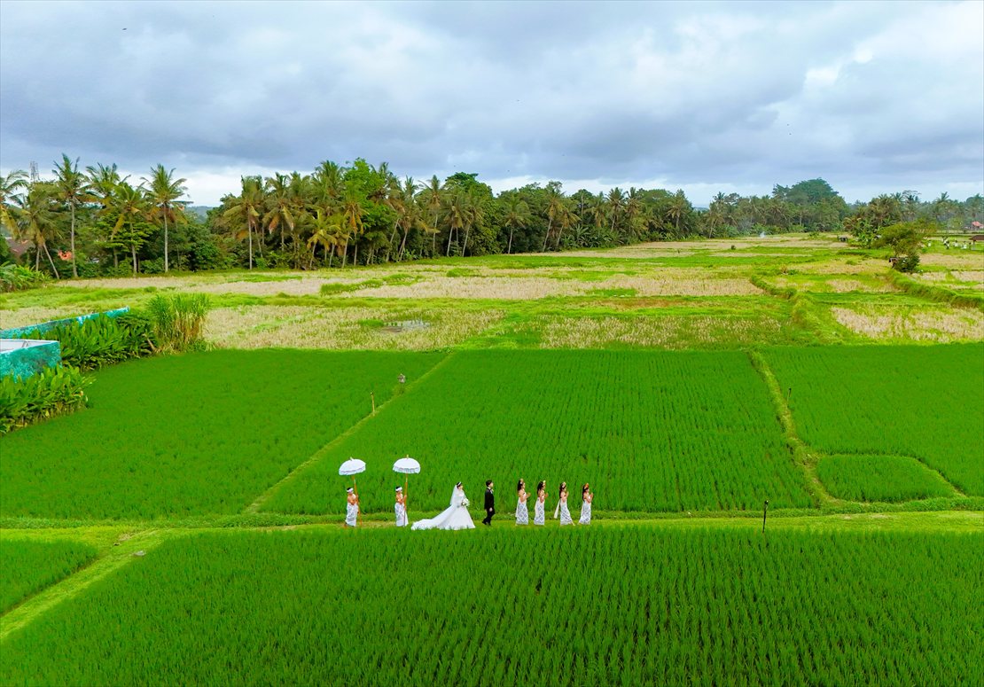 バリ島ウブド ウェディング・ドローン撮影