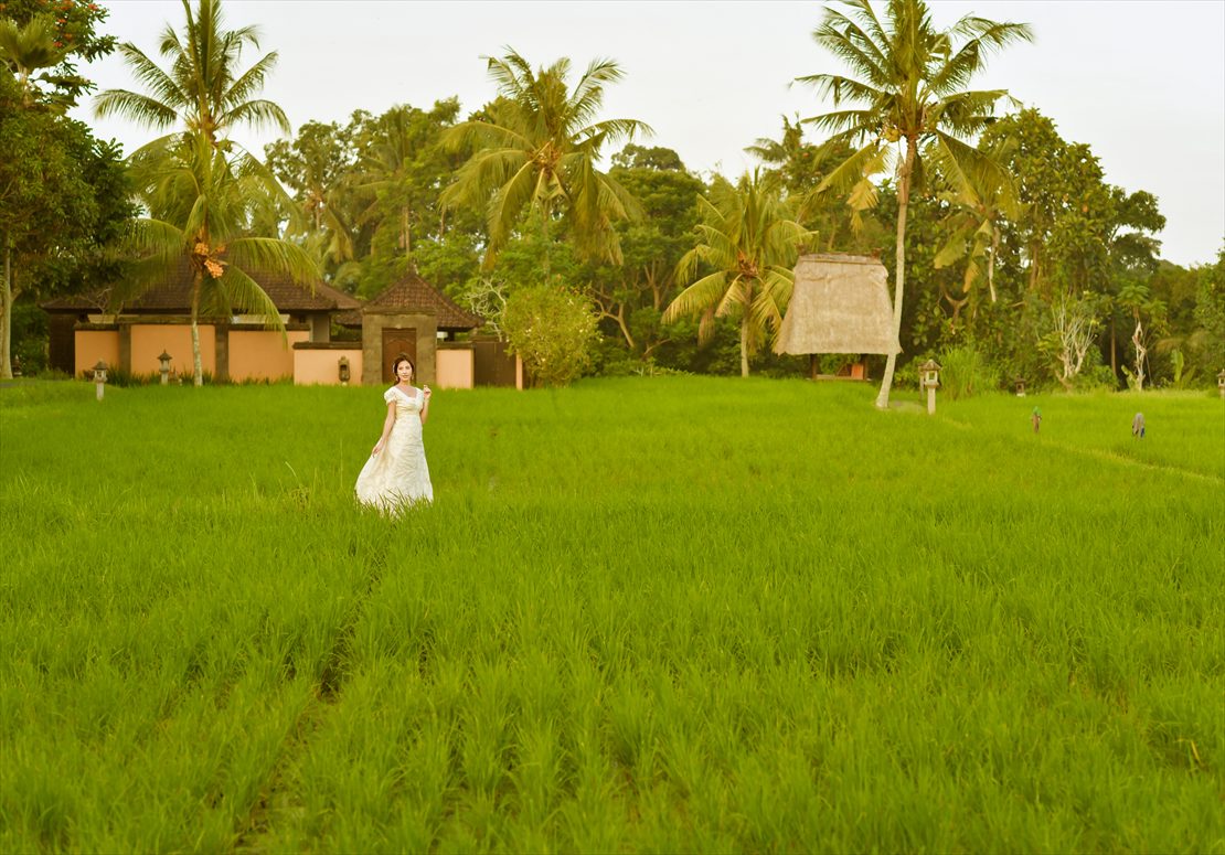 サンセットタイムの幻想的なライステラス