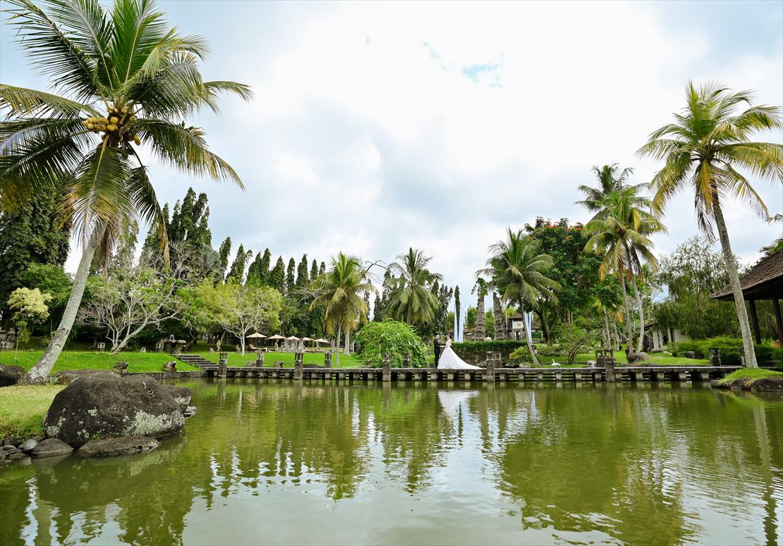 白鳥が住む壮大なポンドを望む長いブリッジ