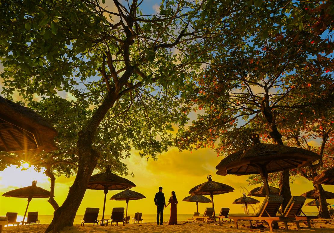 樹々が生い茂る緑豊かなビーチにて夕日撮影