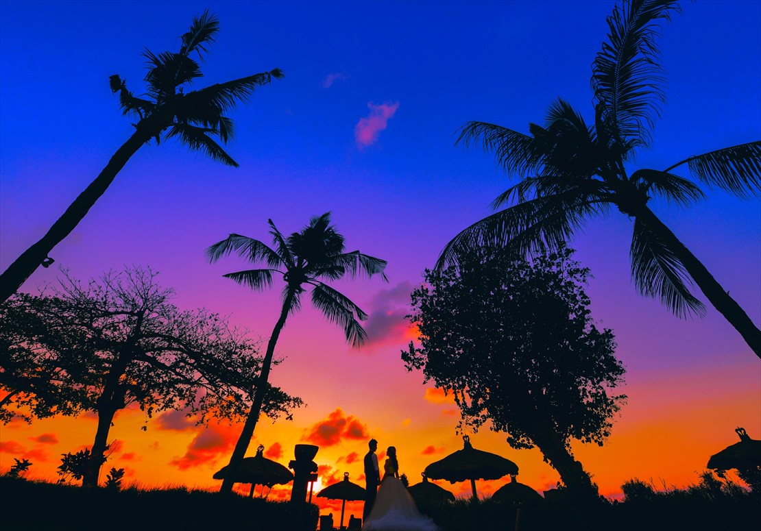 椰子の木越しの美しいマジックアワー