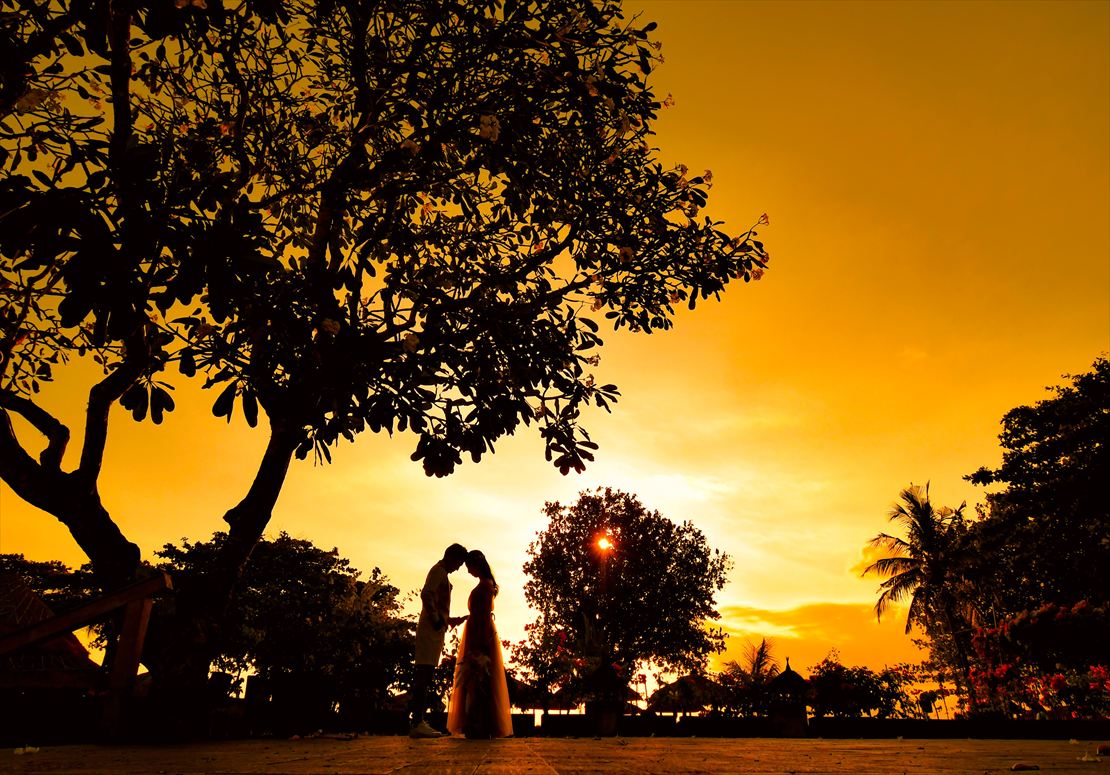 幻想的なガーデンにてサンセット撮影