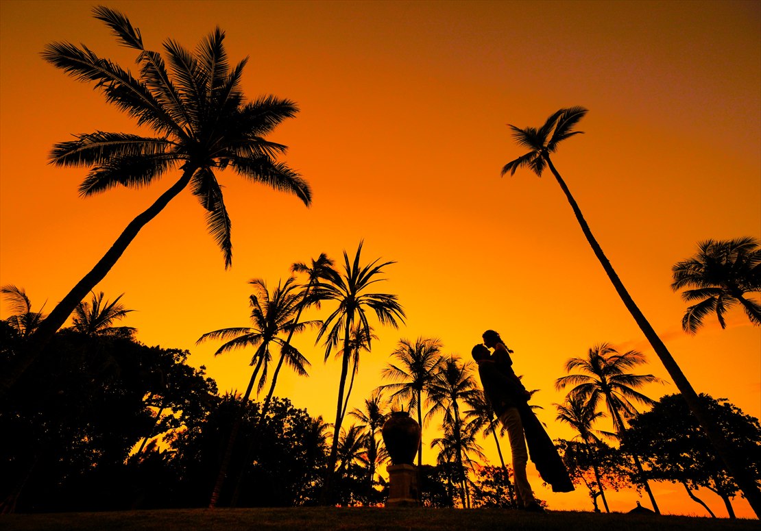 椰子の木に映し出されるマジックアワー
