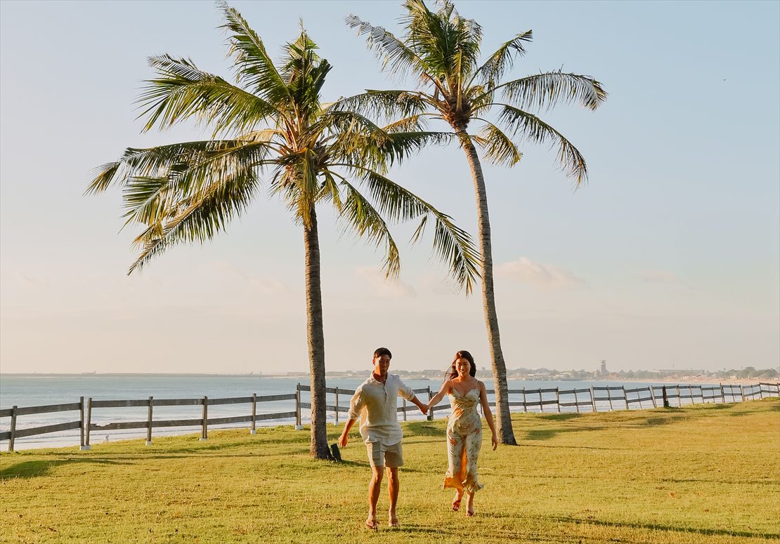 椰子の木が生い茂る広大なサンセットガーデン