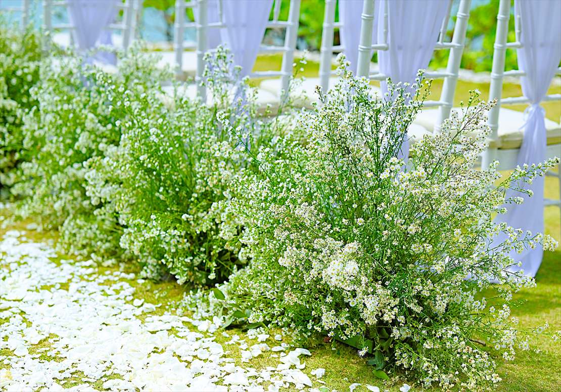 Four Seasons Bali Giri Jimbaran Garden Wedding (19)_R バリ島ウェディング 生花アイルサイド・フラワー