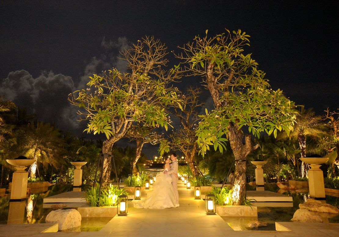 樹々が生い茂るライトアップされたロード