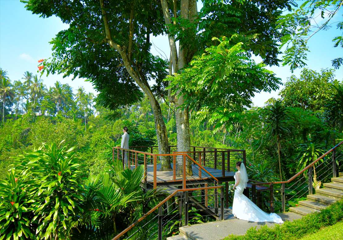 カマンダル・ウブド フォレスト・デッキ