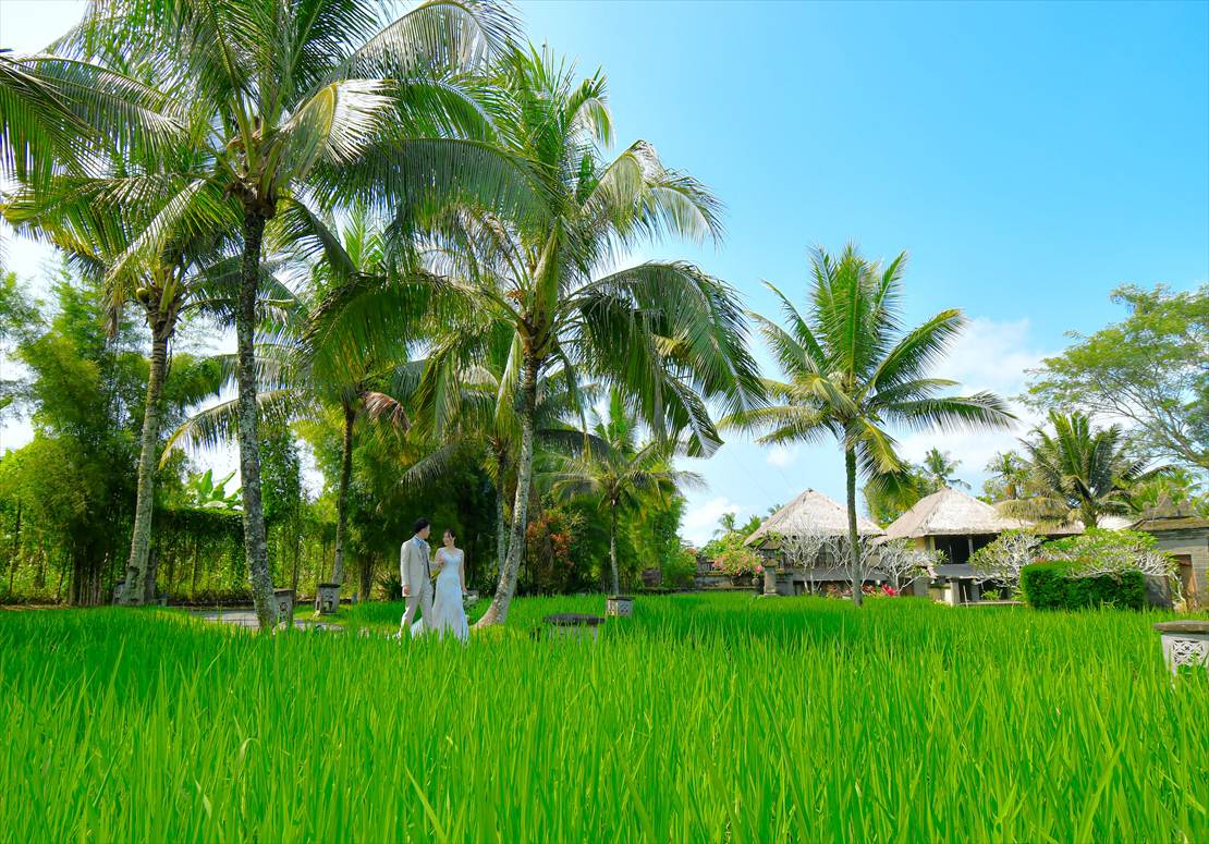 バリ ウェディング　ライステラスにて挙式後撮影