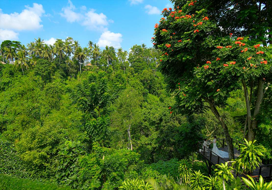 バリ島結婚式　フォレスト・デッキ 挙式後撮影