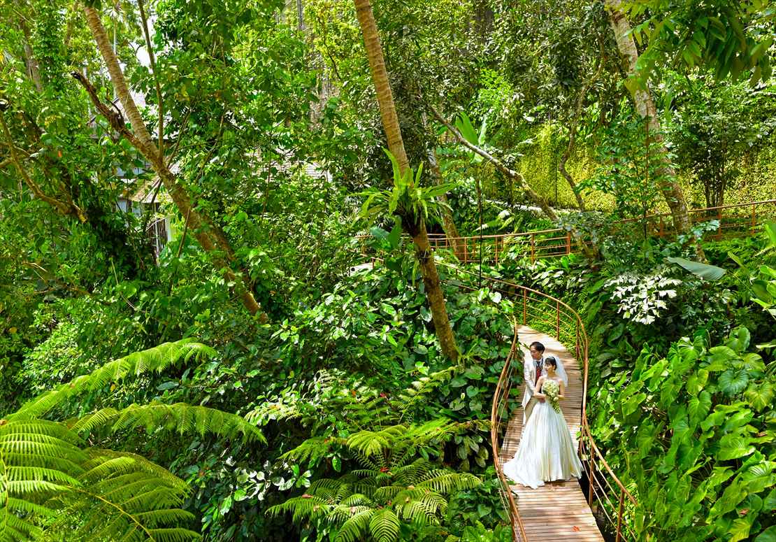 バリ島結婚式　リゾート内ジャングル スロープ挙式前撮影