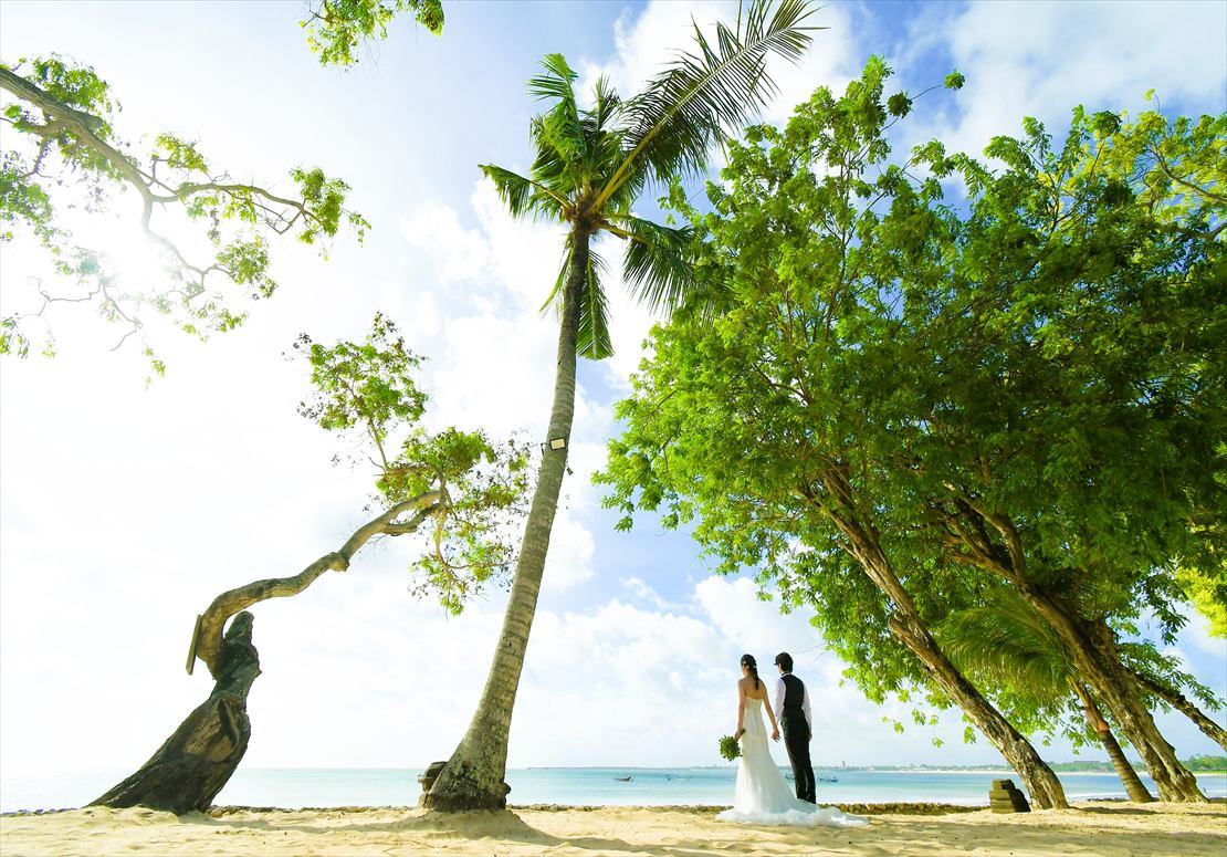 Four Seasons Bali Jimbaran Garden Wedding (35)_R ココナッツ・グローブにて挙式後撮影