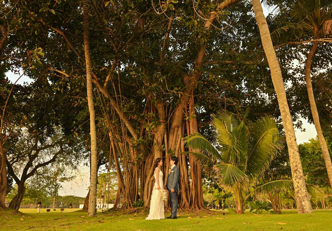 Intercontinental Bali Resort Sunset Wedding (11)_R ガジュマルの樹にてパーティー前撮影